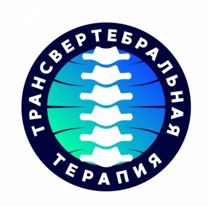 ТРАНСВЕРТЕБРАЛЬНАЯ ТЕРАПИЯТЕРАПИЯ