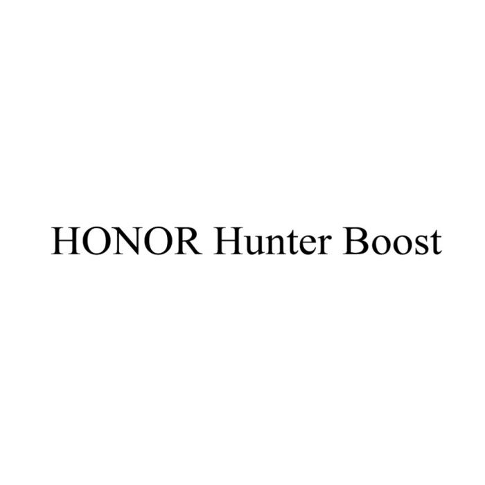 HONOR HUNTER BOOSTBOOST