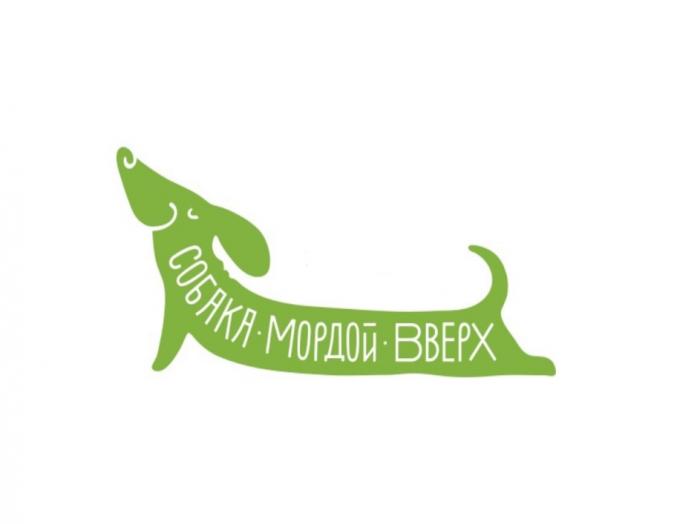 СОБАКА МОРДОЙ ВВЕРХВВЕРХ