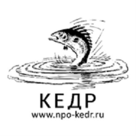 КЕДР NPO-KEDR.RUNPO-KEDR.RU