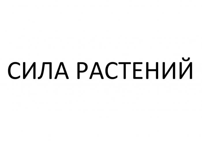 СИЛА РАСТЕНИЙРАСТЕНИЙ