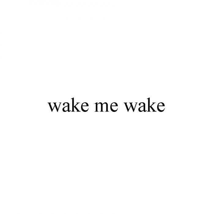 WAKE ME WAKE