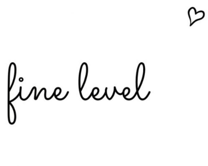 FINE LEVELLEVEL