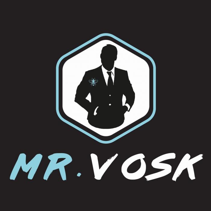 MR.VOSKMR.VOSK