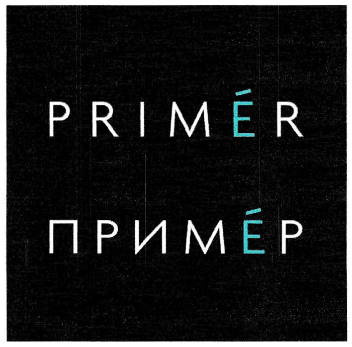 PRIMER ПРИМЕРПРИМЕР