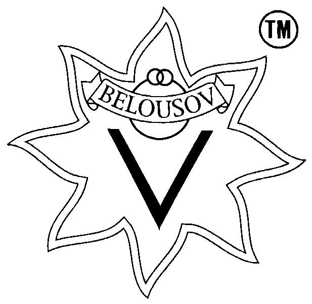 BELOUSOV V