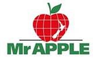 MR APPLEAPPLE