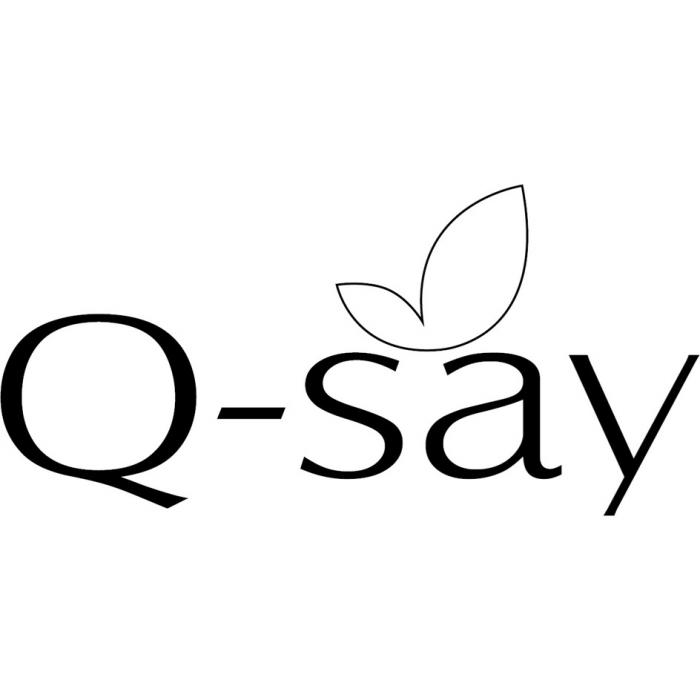 Q-SAYQ-SAY