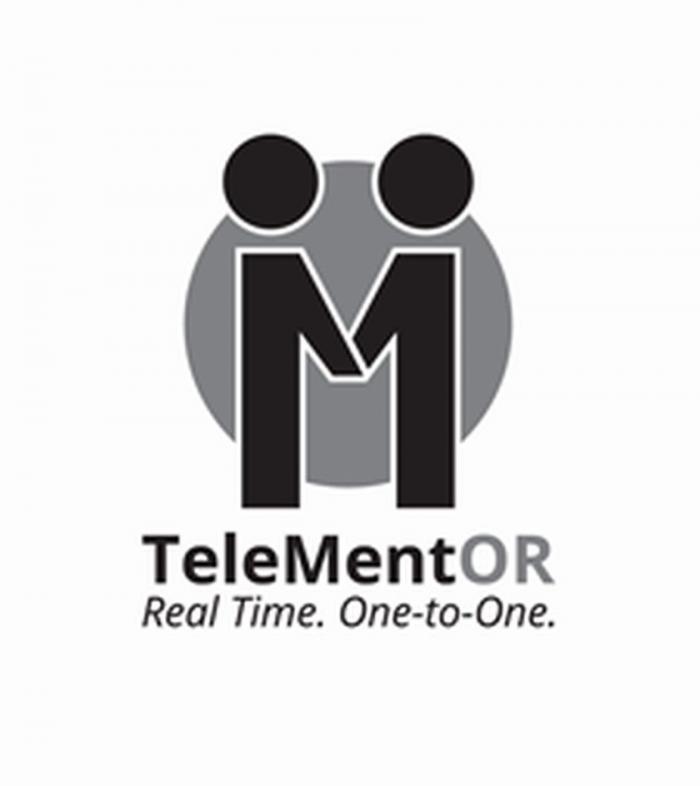 TELEMENTOR REAL TIME ONE-TO-ONEONE-TO-ONE