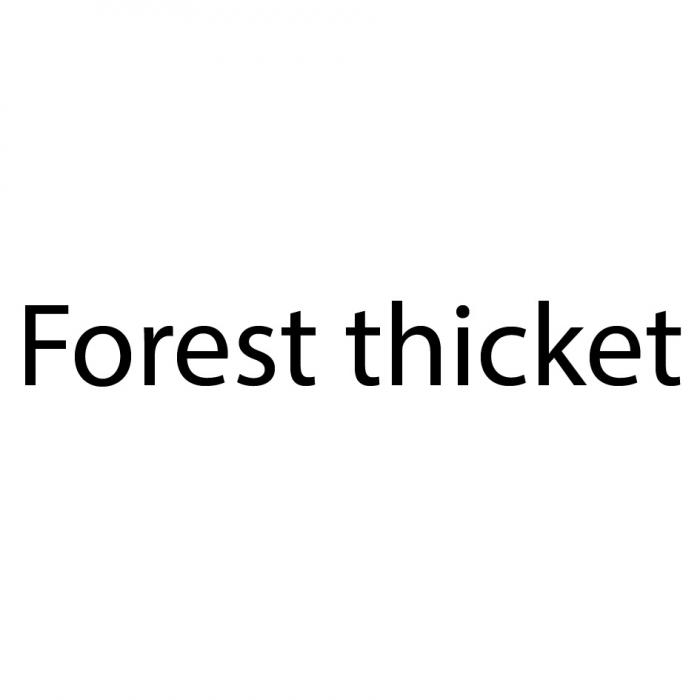 FOREST THICKETTHICKET