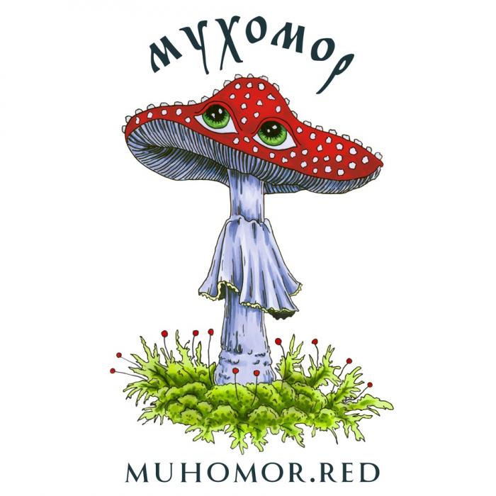 МУХОМОР MUHOMOR.REDMUHOMOR.RED