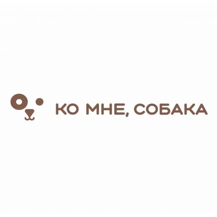 КО МНЕ СОБАКАСОБАКА