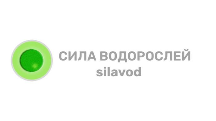 СИЛА ВОДОРОСЛЕЙ SILAVODSILAVOD