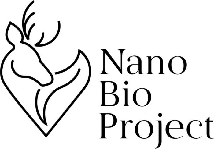 NANO BIO PROJECTPROJECT