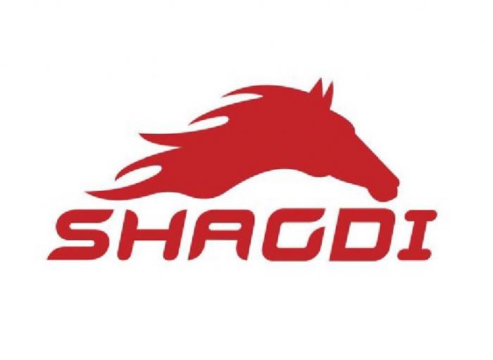 SHAGDI MOTORSPORT