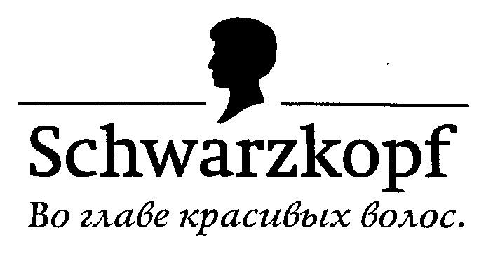 ВО ГЛАВЕ КРАСИВЫХ ВОЛОС SCHWARZKOPF