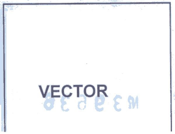 vector