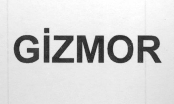 gizmor