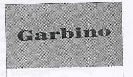 garbino