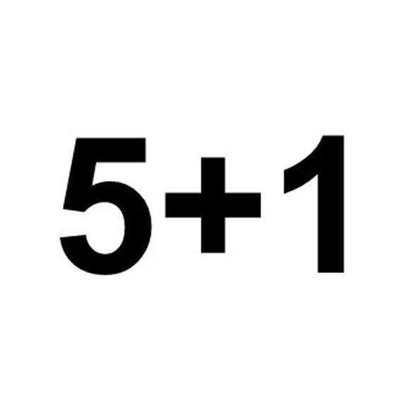 5+1