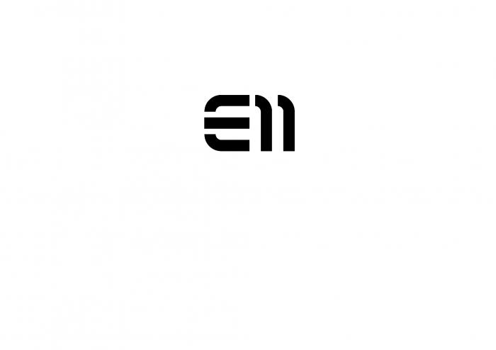 E11