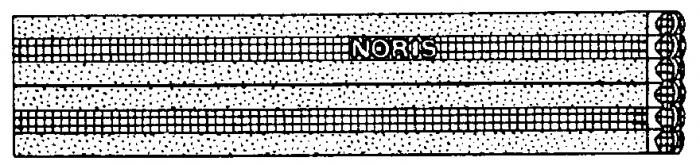 NORIS