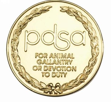 pdsa FOR ANIMAL GALLANTRY OR DEVOTION TO DUTY