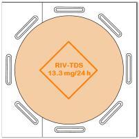 RIV-TDS 13,3mg/24h