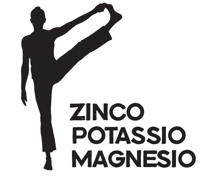 ZINCO POTASSIO MAGNESIO