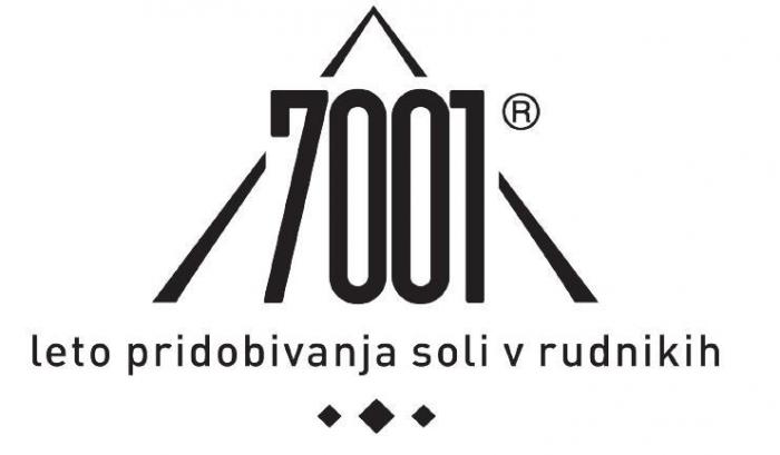 7001 leto pridobivanja soli v rudnikih