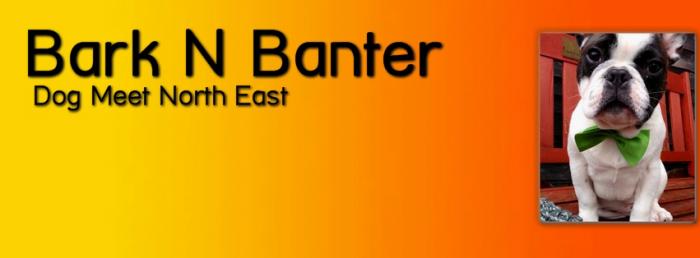 Bark N Banter dog meet North East