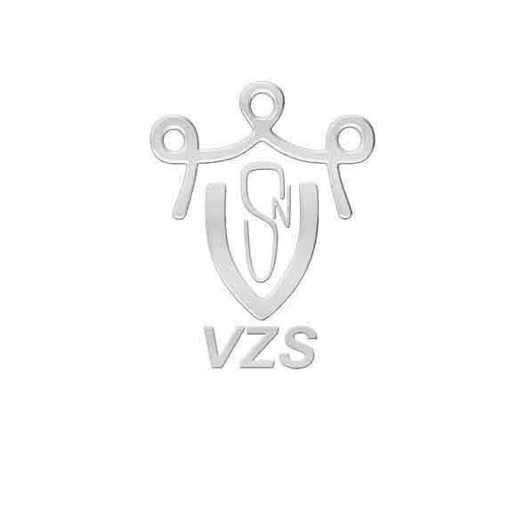 VZS