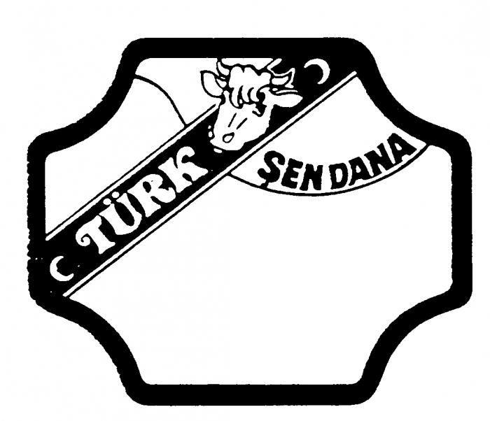 TURK SEN DANA