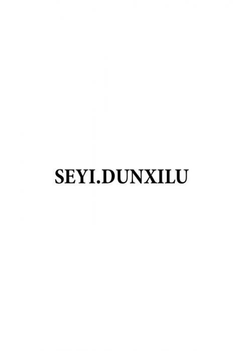 SEYI.DUNXILU