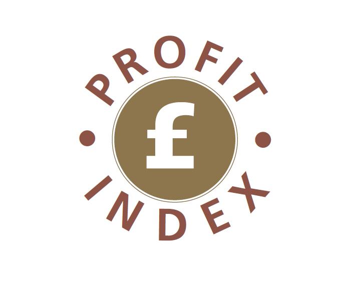 £PROFIT INDEX