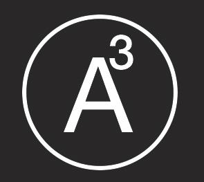 A3