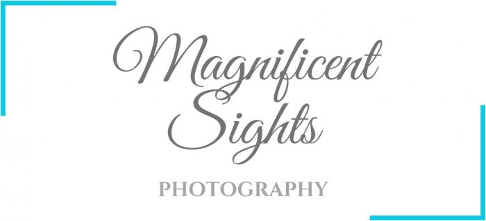 Magnificent Sights Photography