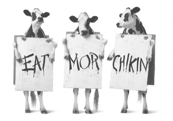 EAT MOR CHIKIN