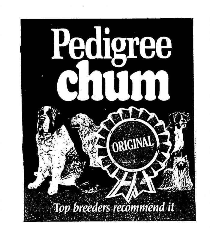 Pedigree chum ORIGINAL Top breeders recommend it