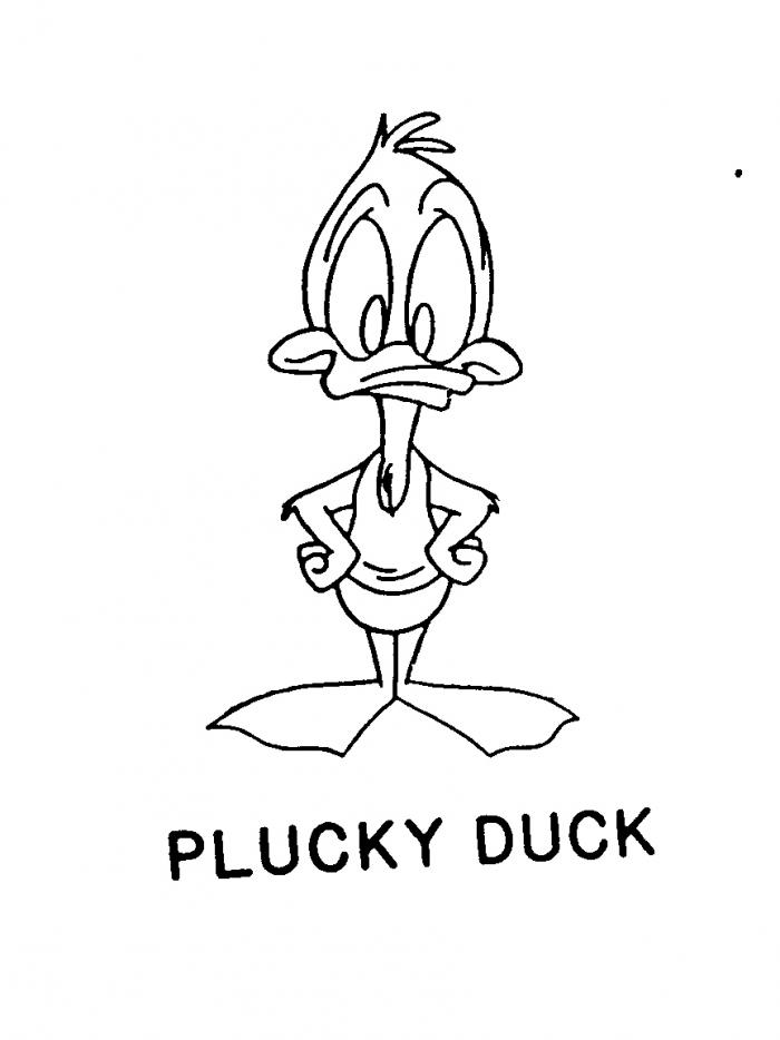 PLUCKY DUCK