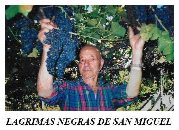 LAGRIMAS NEGRAS DE SAN MIGUEL