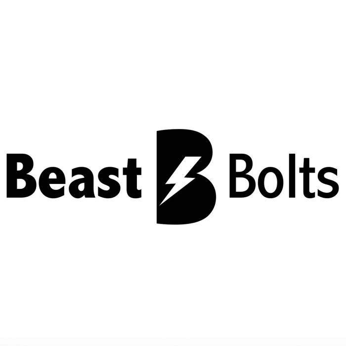 Beast B Bolts