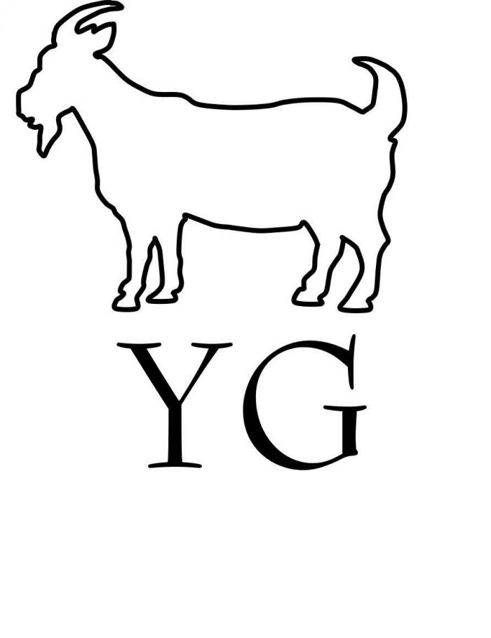 YG