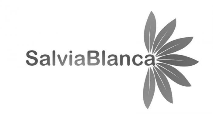 Salvia Blanca