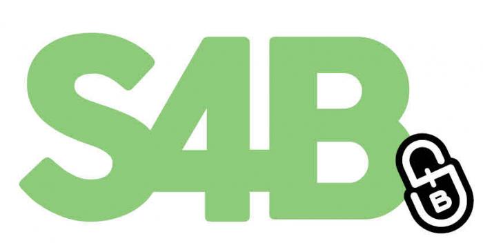 S4B