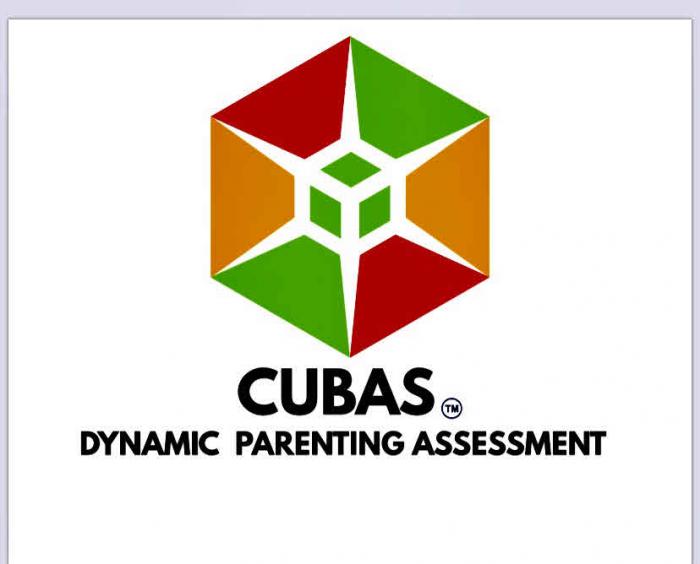 CUBAS DYNAMIC PARENTING ASSESSMENT