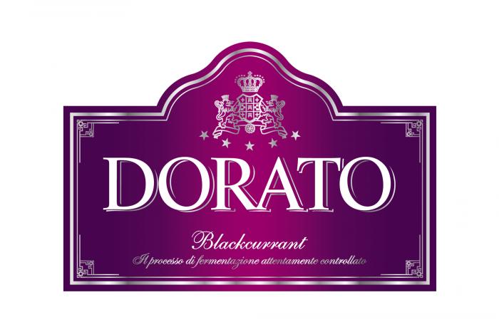 DORATO Blackcurrant Il processo di fermentazione attentamente controllato