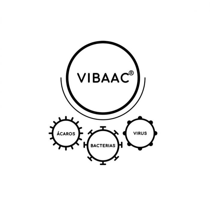 VIBAAC ÁCAROS BACTERIAS VIRUS