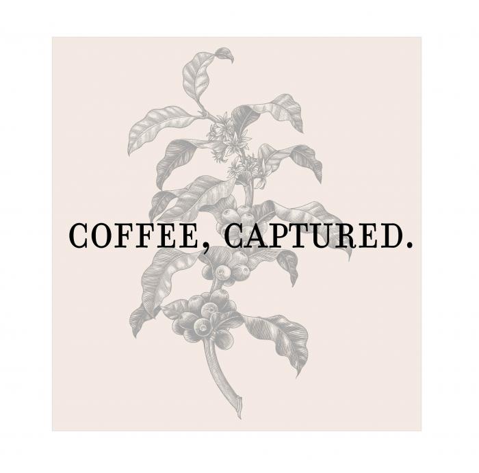 Coffee, Captured.