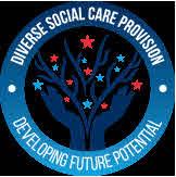 Diverse Social Care Provision Developing Future Potential